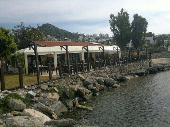 İskele Balıkçısı